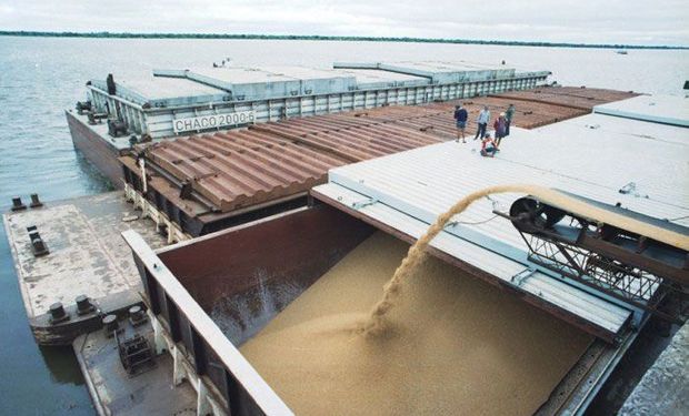 La exportación de trigo bate récords.