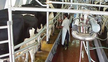 Niegan mayor exportación de lácteos