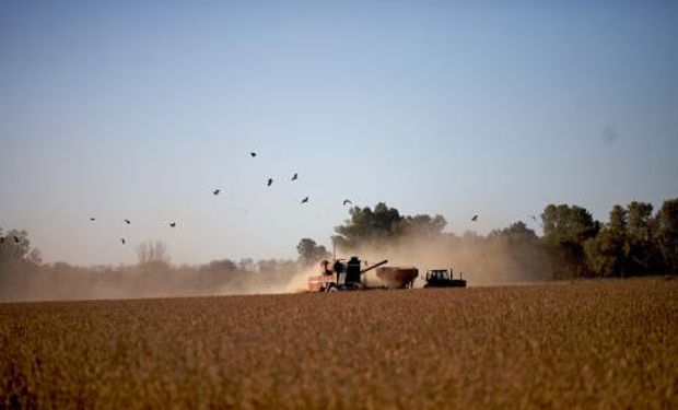 El agro fue clave: con el complejo soja como protagonista, enero dejó un superavit comercial de US$ 1068 millones