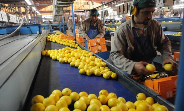 Según la entidad el despegue se dará en Córdoba y Santa Fe.