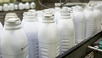 Productos lácteos: se exportó por US$ 646 millones, el semestre con mayor ingresos en los últimos ocho años