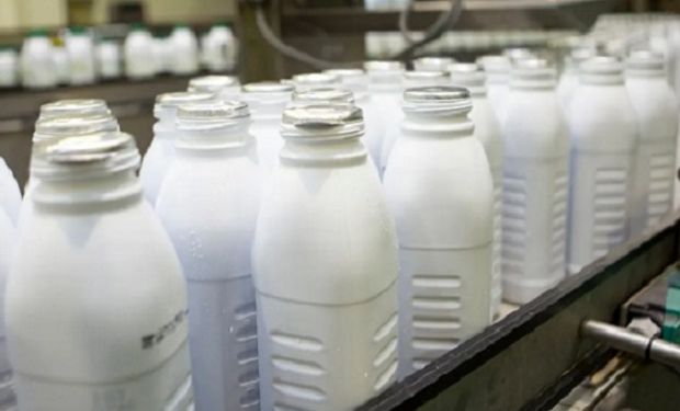 Productos lácteos: se exportó por US$ 646 millones, el semestre con mayor ingresos en los últimos ocho años
