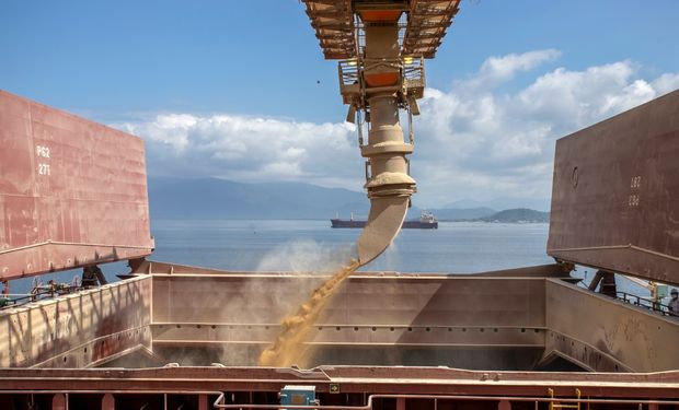 O complexo soja lidera as exportações, com quase 30% de participação no total. (Foto - Claudio Neves)