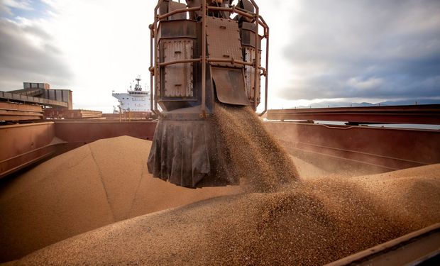 Soja, carne e café impulsionam exportações e agro fecha novembro com US$ 13,4 bi