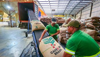 Exportações de café do Brasil caem 23,5% em fevereiro