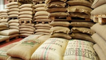 Nova safra, problema antigo: gargalos nos portos elevam prejuízo de exportadores de café