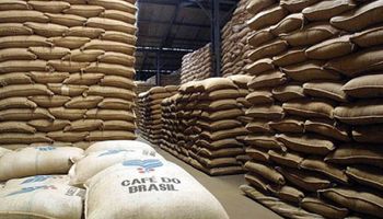 Exportações de café despencam com tarifaço de Trump sobre o Brasil