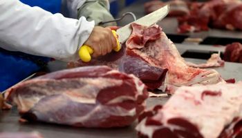 Recorde nas exportações de carne bovina esbarra em preocupação com cota da China