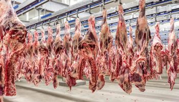 Exportações de carne bovina têm janeiro histórico e alcançam maior volume da série