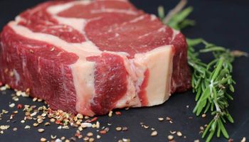 Carne bovina brasileira alcança novo recorde e supera impacto das tarifas dos EUA