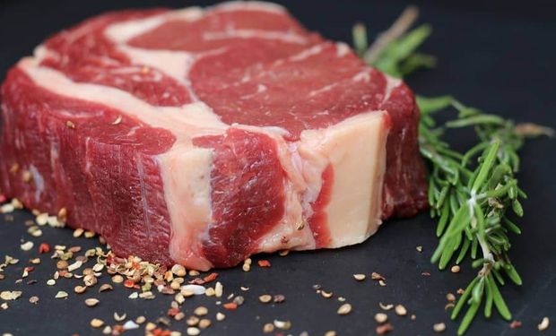 Carne bovina brasileira alcança novo recorde e supera impacto das tarifas dos EUA