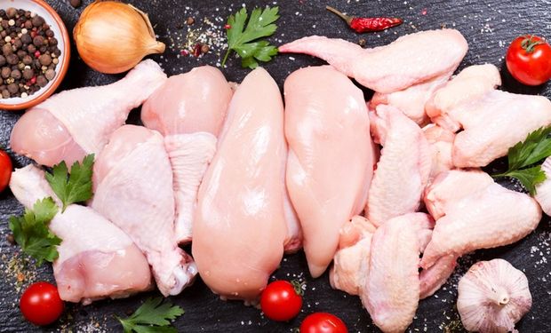 Exportações de carne de frango têm leve queda, mas registram segundo melhor resultado do ano