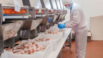 Exportações de carne de frango do Brasil batem recorde em 2025