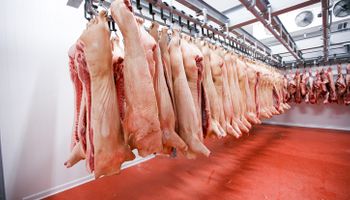 Exportação de carne suína recua 8,9% até julho