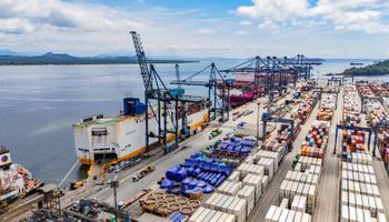 Frango bate recorde em embarques e carne suína avança nas vendas externas