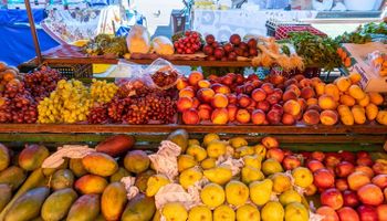 Exportações de frutas crescem 16% no trimestre; veja as principais em alta