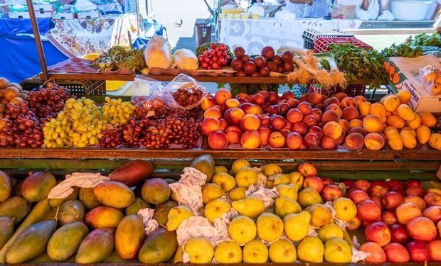 Exportações de frutas crescem 16% no trimestre; veja as principais em alta