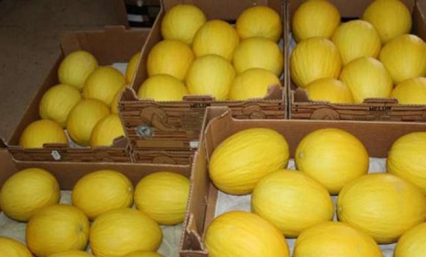 Exportações brasileiras de melão sobem 47% em abril