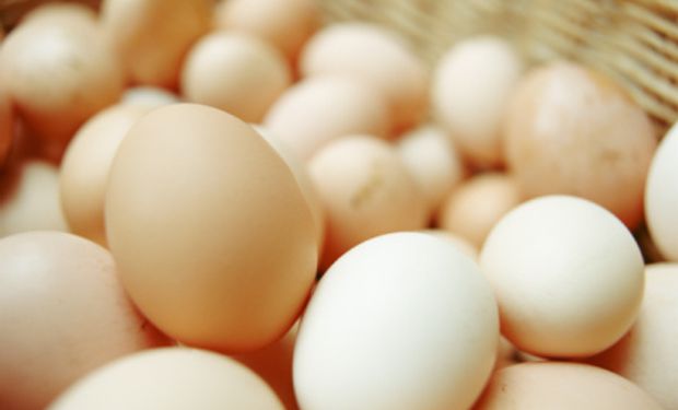 Produção de ovos de galinha no segundo trimestre foi de 998,82 milhões de dúzias, segundo IBGE. (Foto: Getty Images)
