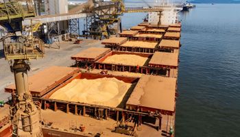 Exportações de soja devem alcançar 7 milhões de toneladas em outubro, aponta Anec