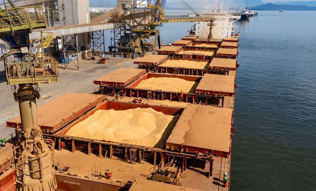 Exportações de soja devem alcançar 7 milhões de toneladas em outubro, aponta Anec