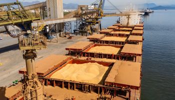 Soja: exportações disparam, farelo bate recorde e óleo cai com petróleo