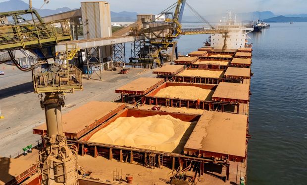 Foto: Claudio Neves/Portos do Paraná