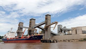 Retenciones: la industria de la soja destacó ser considerada de igual manera que las cadenas de trigo, maíz, girasol y carne