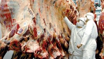 Exportadores de carne no le temen a Trump