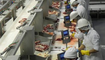 Carne: alerta en el Mercosur por el Acuerdo Estratégico Transpacífico