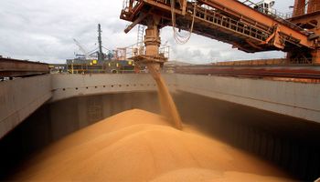 Sólo tres grupos argentinos figuran entre los 10 mayores exportadores agrícolas del país
