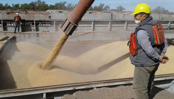 Exportadores advierten que se podría paralizar el embarque de granos