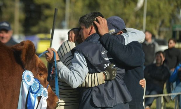 La emoción del Gran Campeón: qué cabaña llevó el mejor Angus a la expo de Olavarría