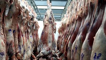 Creció la exportación de carne en julio