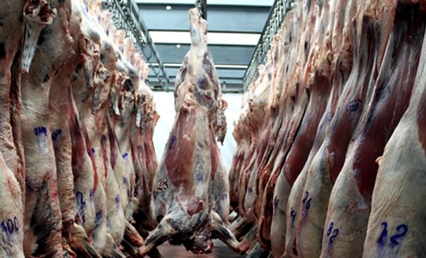 Creció la exportación de carne en julio