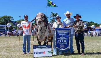 ExpoZebu bate recorde, movimenta R$ 254,5 milhões em leilões e revela campeões da edição