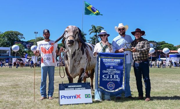 Reservado Grande Campeão: Garboso ZS – Expositor: Nadia Zacharia (Fazenda Americana)