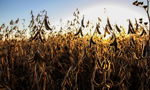 Mercado atento al conflicto en Medio Oriente y a los reportes del Departamento de Agricultura de Estados Unidos (USDA).