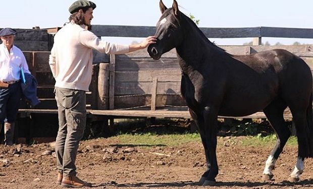 En el campo, trabajando y entrenando: así pasa la cuarentena el jugador Edinson Cavani