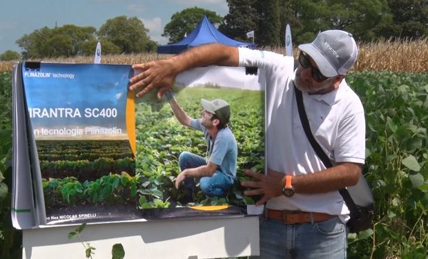 Control de chinches, arañuelas, leps y trips en soja: el insecticida que da un gran paso con menos aplicación 