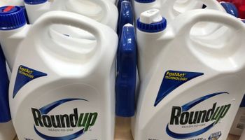 ¿Fin de una era? Bayer evalúa sacar el glifosato del mercado