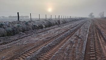 El frío avanzó fuerte y llegó hasta el norte: "Las heladas han sido generalizadas"