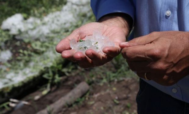Mendoza: una tormenta de granizo dañó casi 3000 hectáreas de cultivos
