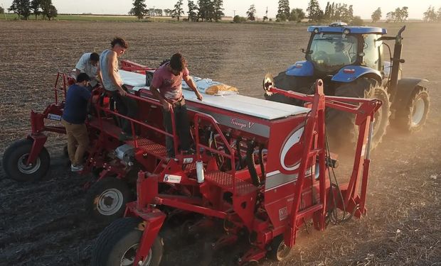 Comenzó la siembra de maíz temprano en los lotes con la humedad acorde