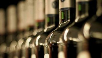 Las exportaciones de vinos crecieron un 11%