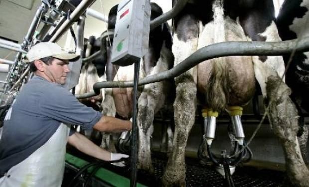 Acelerar la toma de decisiones respecto al sector lechero es lo que pide FAA.