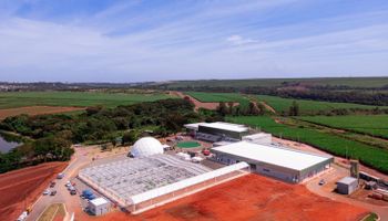 Nova fábrica dá pontapé inicial à produção de sementes de cana no Brasil