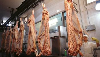 Carne: Santa Fe propone un piso de exportaciones de 750.000 toneladas 