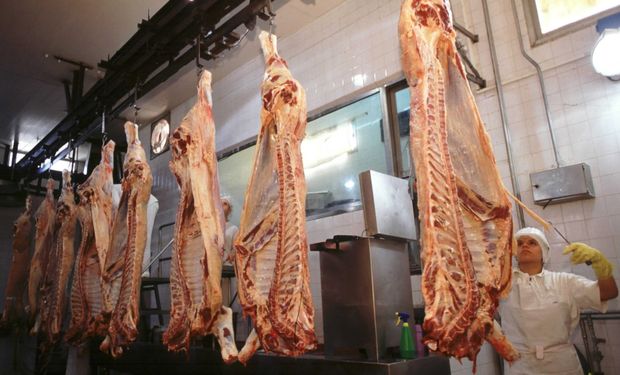 Carne: Santa Fe propone un piso de exportaciones de 750.000 toneladas