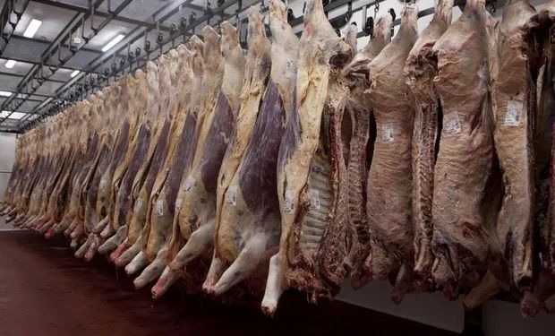 Exportación de carne: una mayor oferta permitiría que el aumento del cupo sea hasta diciembre